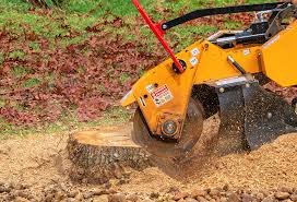 Best Fruit Tree Pruning  in Lauderdale Lakes, WI
