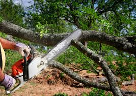 Best Pest Control for Lawns  in Lauderdale Lakes, WI