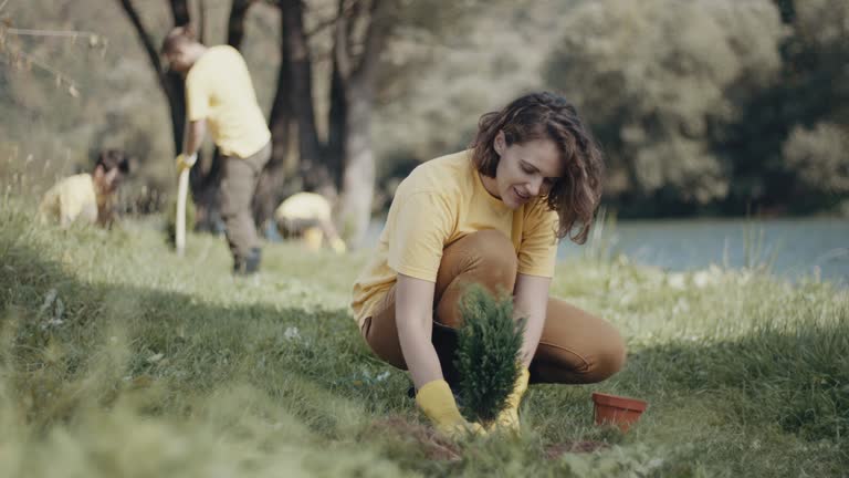 Best Lawn Renovation and Restoration  in Lauderdale Lakes, WI
