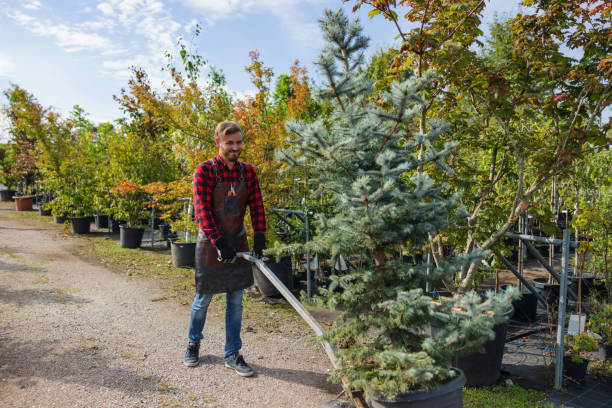 Best Tree Health Inspection  in Lauderdale Lakes, WI